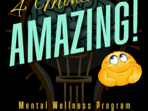 4 Months to Amazing Mental Wellness Program